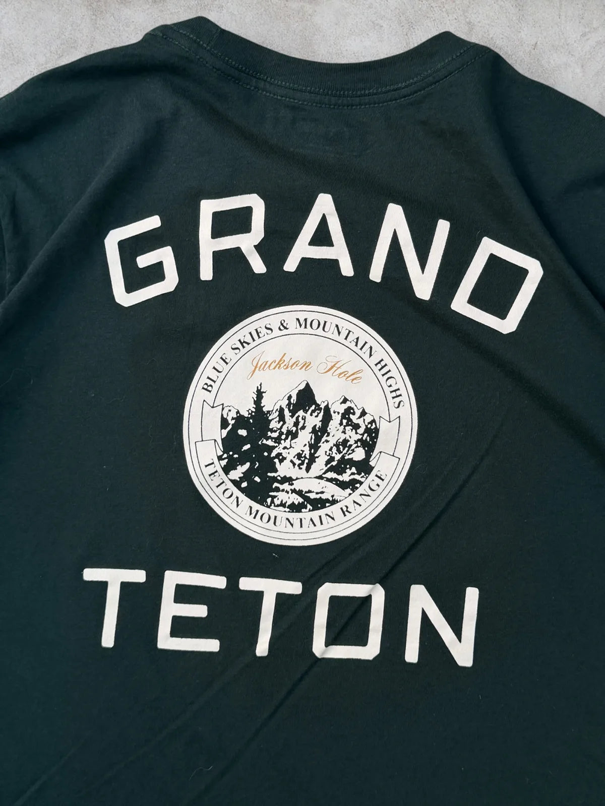 Old Navy “Grand Teton” Mountain talla L